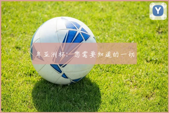 年亚洲杯：您需要知道的一切