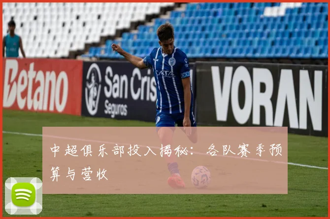 中超俱乐部投入揭秘：各队赛季预算与营收