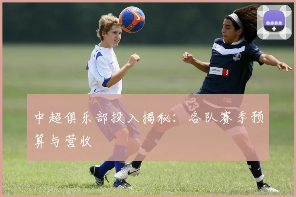中超俱乐部投入揭秘：各队赛季预算与营收